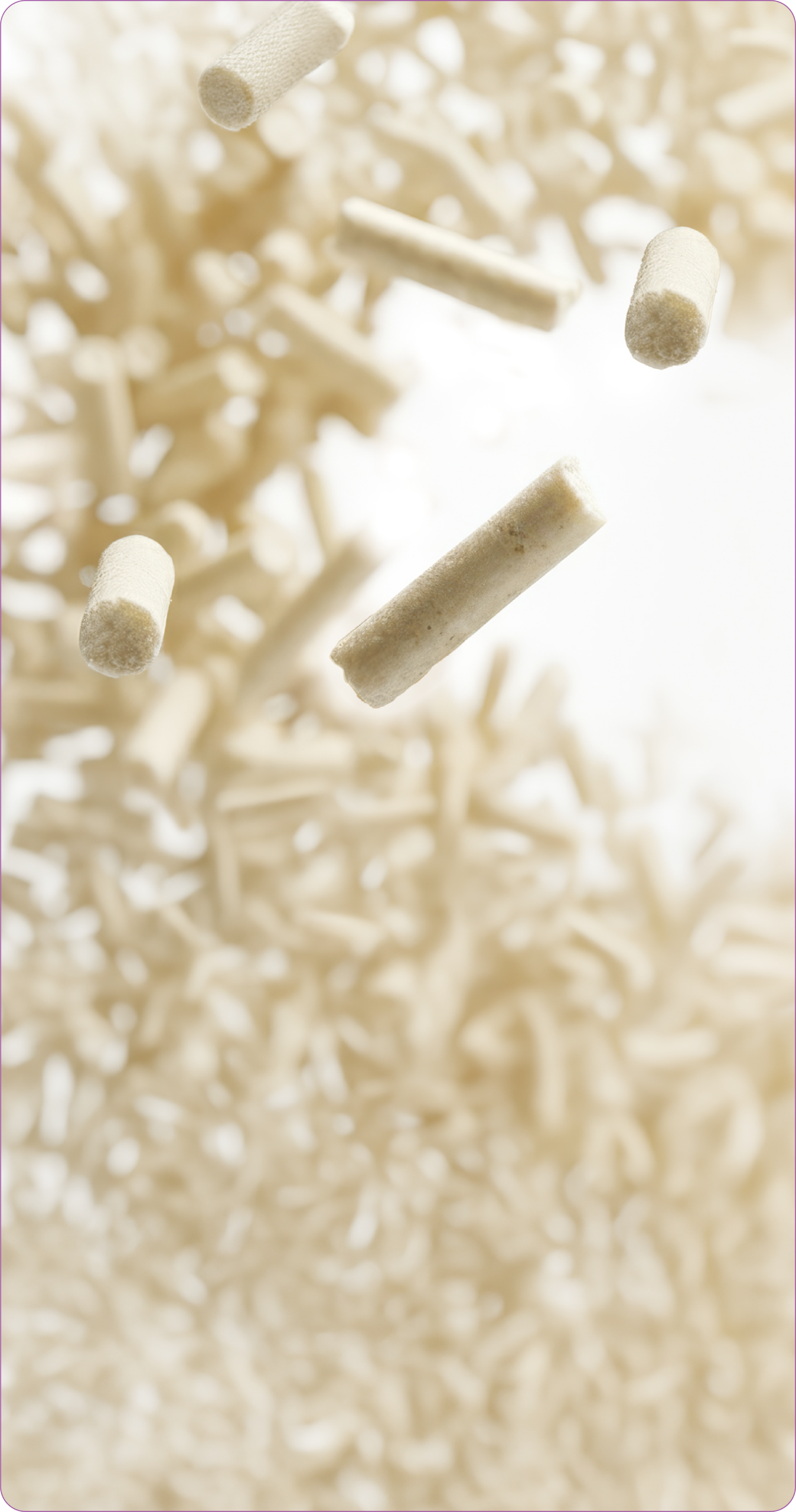 Pellets de arena Catit Go Natural